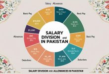 Salary Division and Allowances in Pakistan