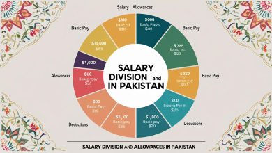 Salary Division and Allowances in Pakistan